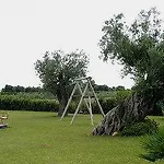 Bauernhof Agriturismo Li Damiani