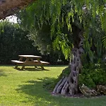 Farm stay Agriturismo Li Damiani