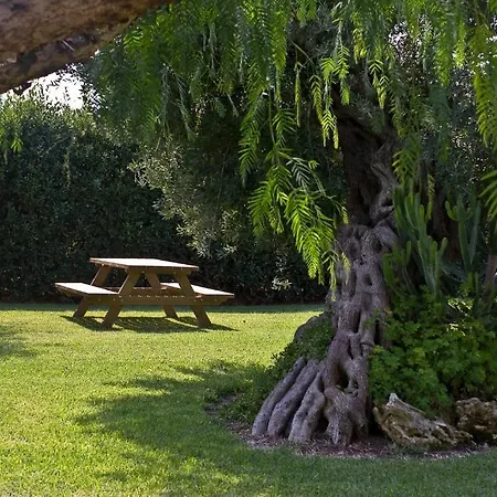 Farm stay Agriturismo Li Damiani