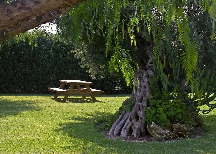 Alojamento de Turismo Rural Agriturismo Li Damiani